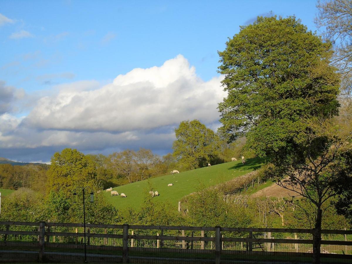 Gwilym'S Stable Lejlighed Builth Wells Eksteriør billede