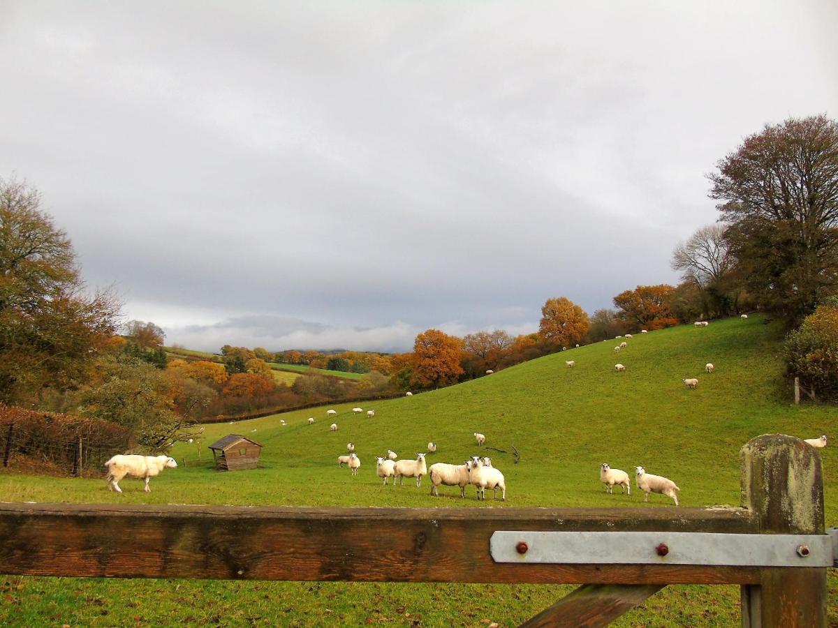 Gwilym'S Stable Lejlighed Builth Wells Eksteriør billede
